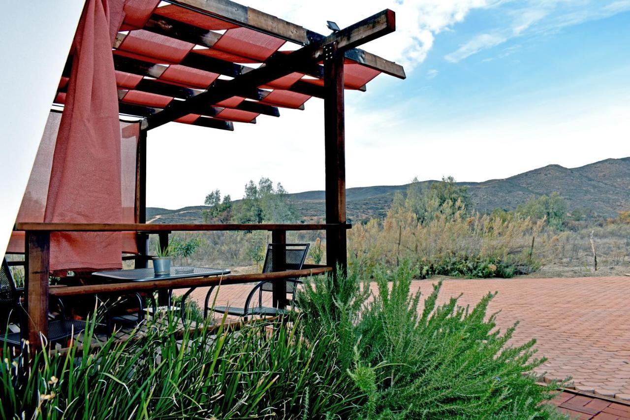 Vides Del Rio Suites Valle de Guadalupe Bagian luar foto